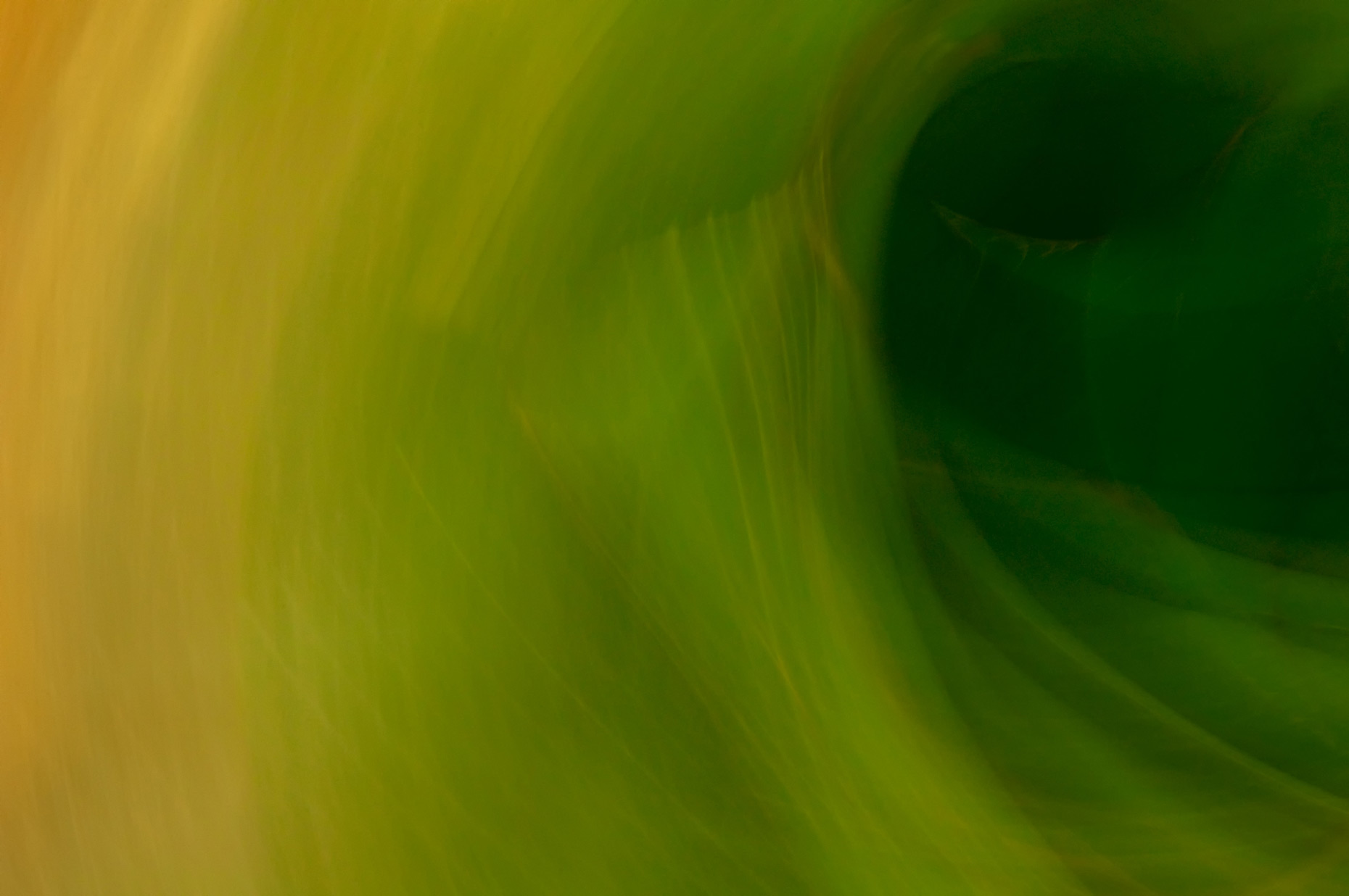 Abstract-Art-Green-Riding-the-Wave-Laria-Saunders.jpg