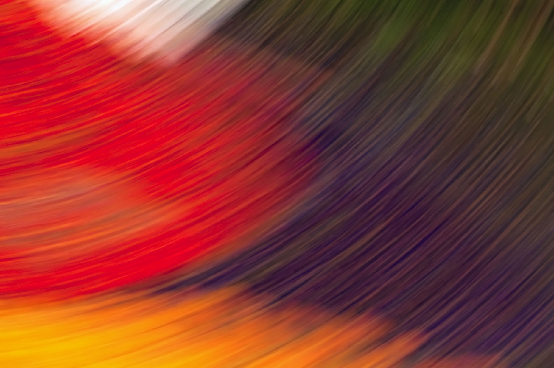 Abstract-Art-Red-Colorful-Eden-Laria-Saunders.jpg