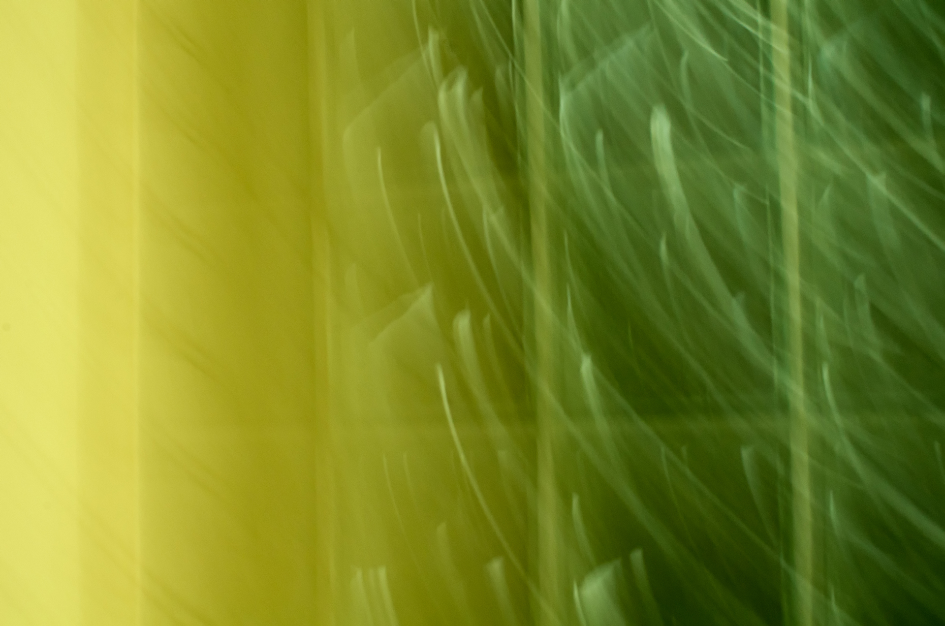 Abstract-Shades-of-Green-2.jpg
