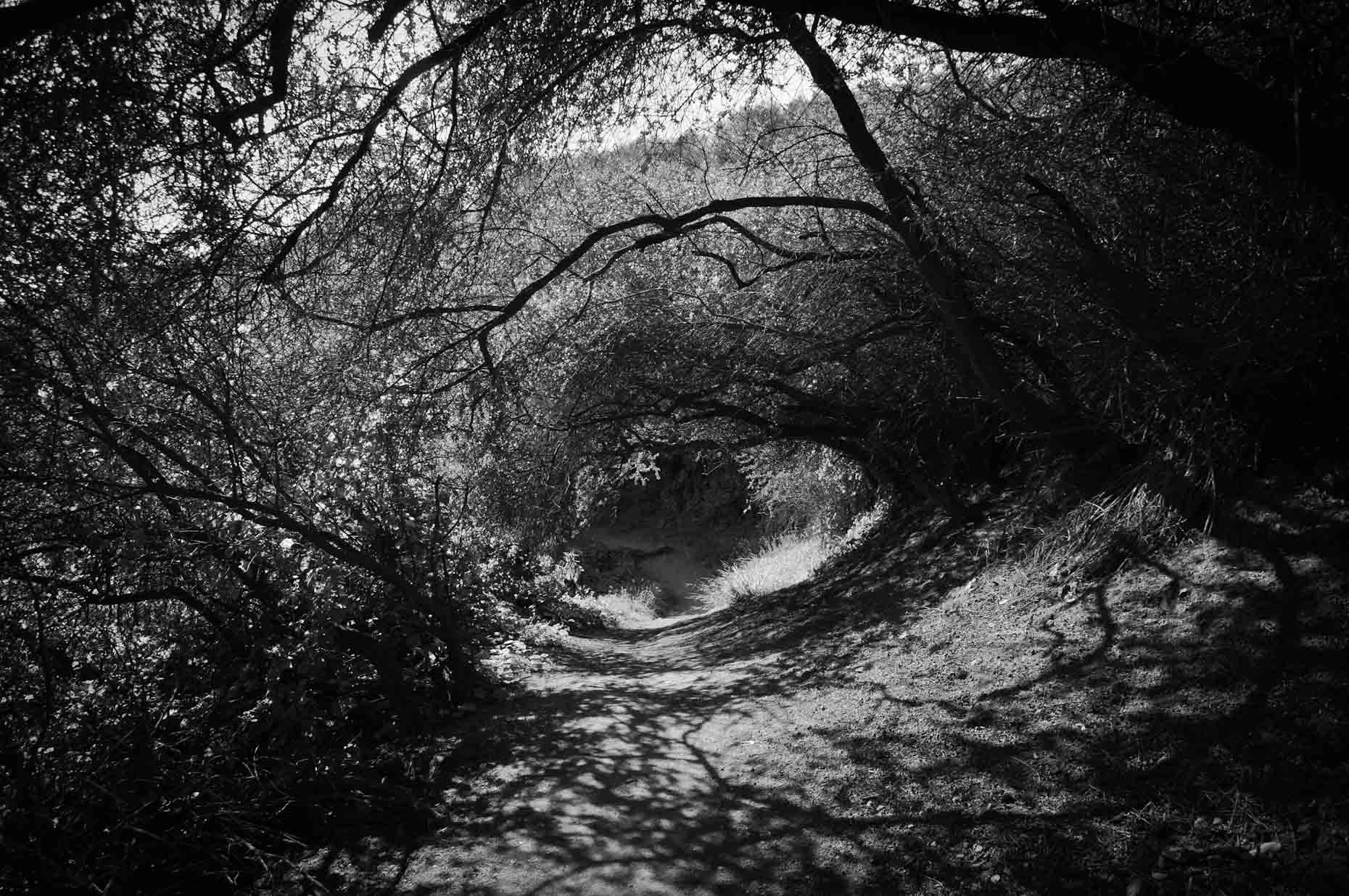 LA-Photos-Hike-Thru-Laria-2.jpg