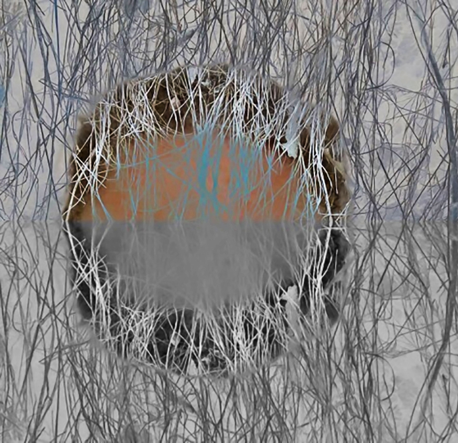 Untitle-4216_Laria-Saunders-Abstract-MobPainting-