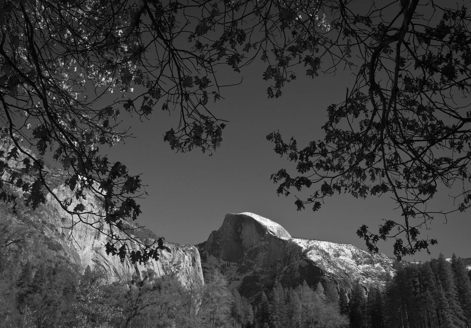 Yosemite-Landscapes-Half-Dome-Full-Glory-Laria-Saunders.jpg