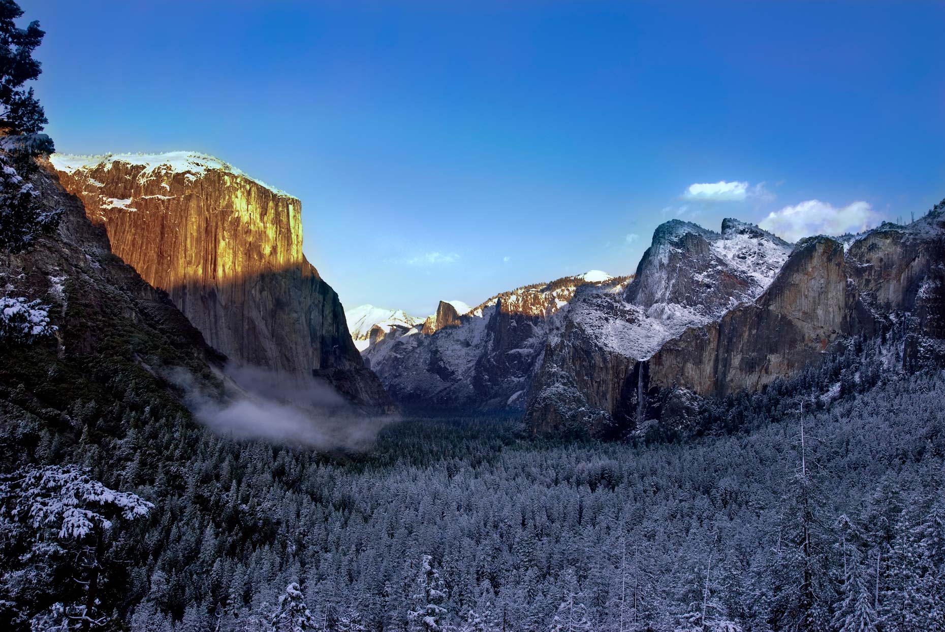 Yosemite-Landscapes-Valley-of-Grace-Laria-Saunders.jpg